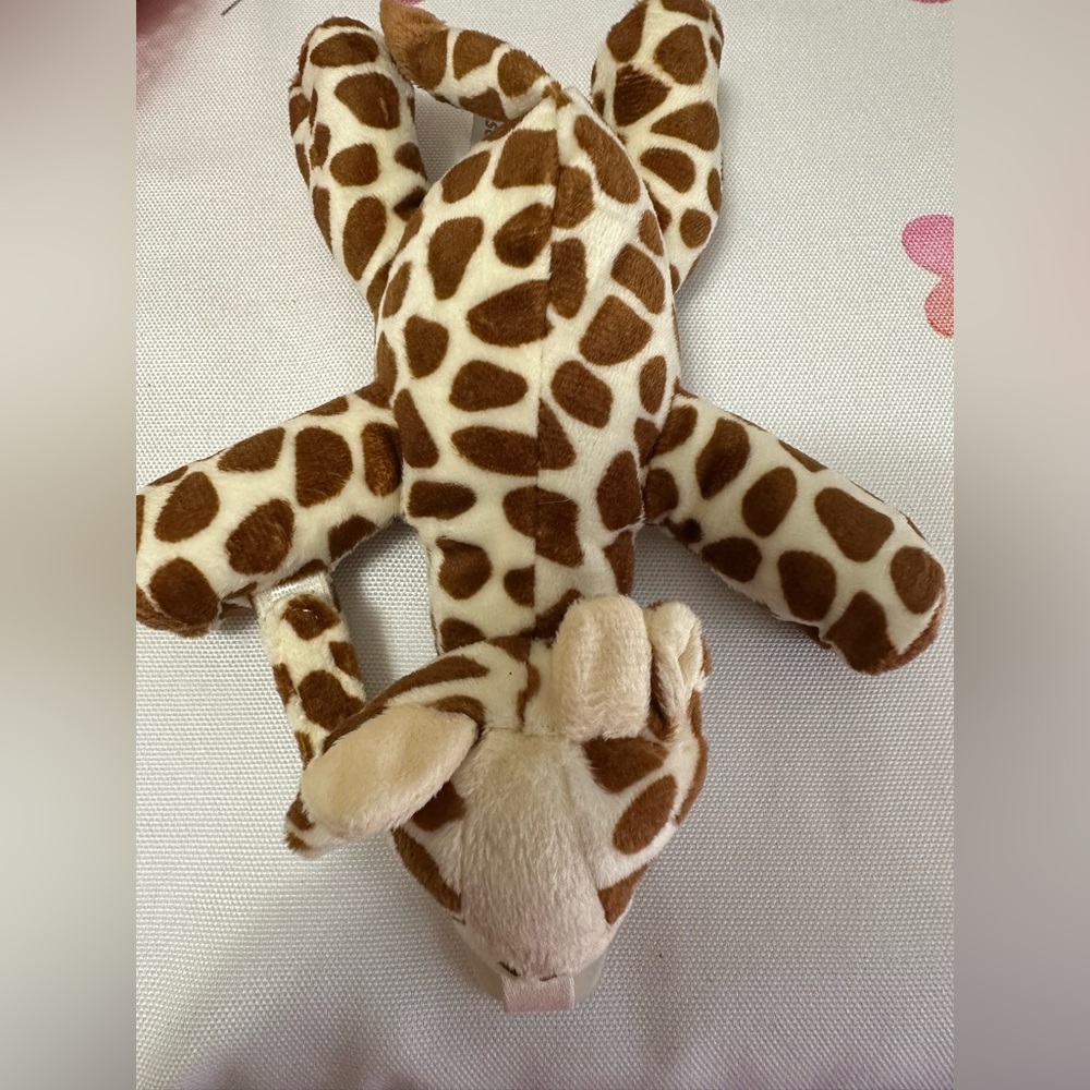 Snuggle pacifier holder